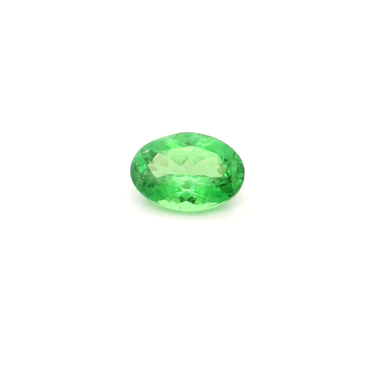 1.07ct Oval Natural Garnet (Colour Green, Clarity Slightly Included, Cut Faceted)