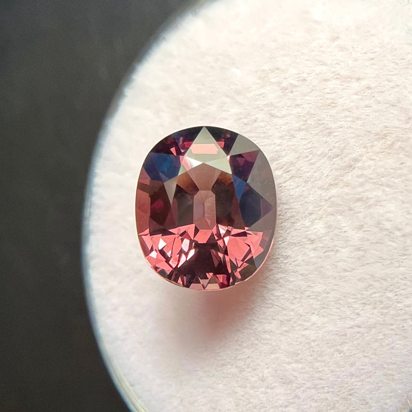 44692145