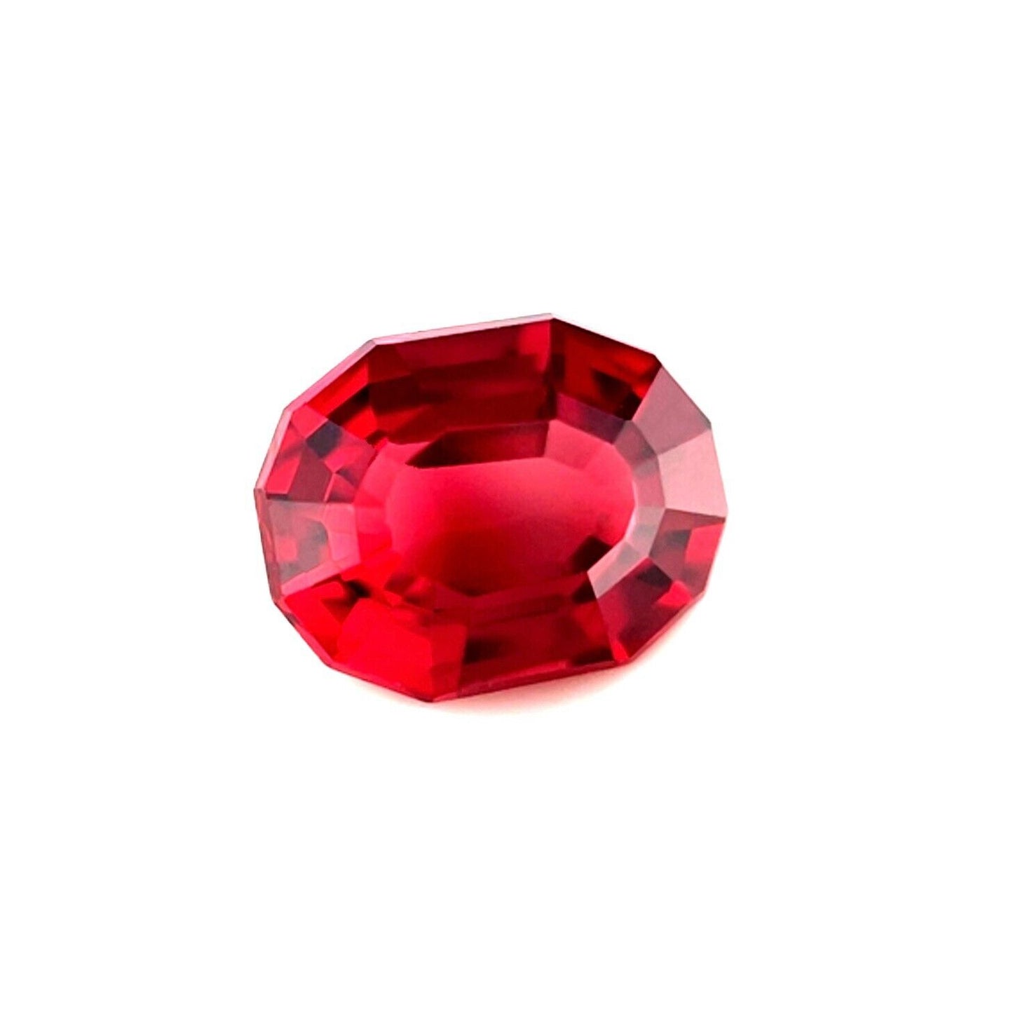 44067304