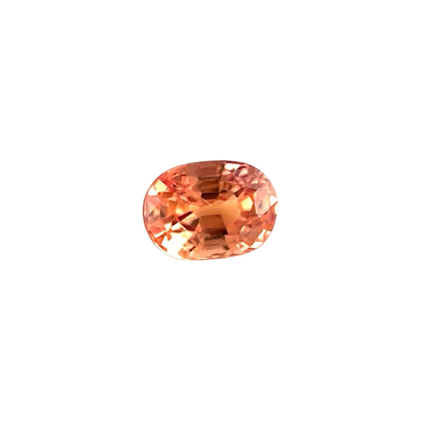 45663557