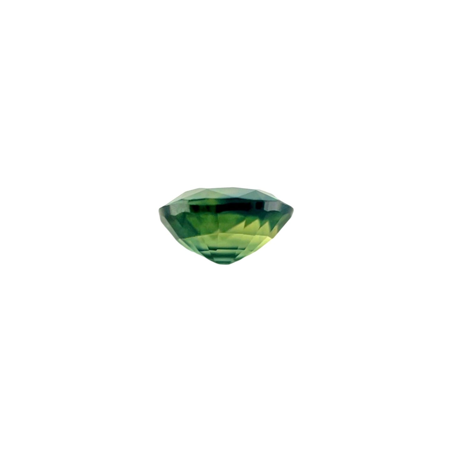 44509559