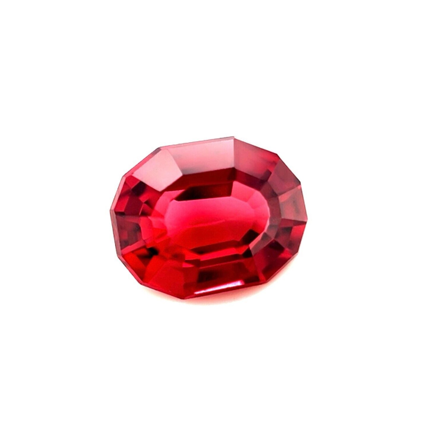 44067304