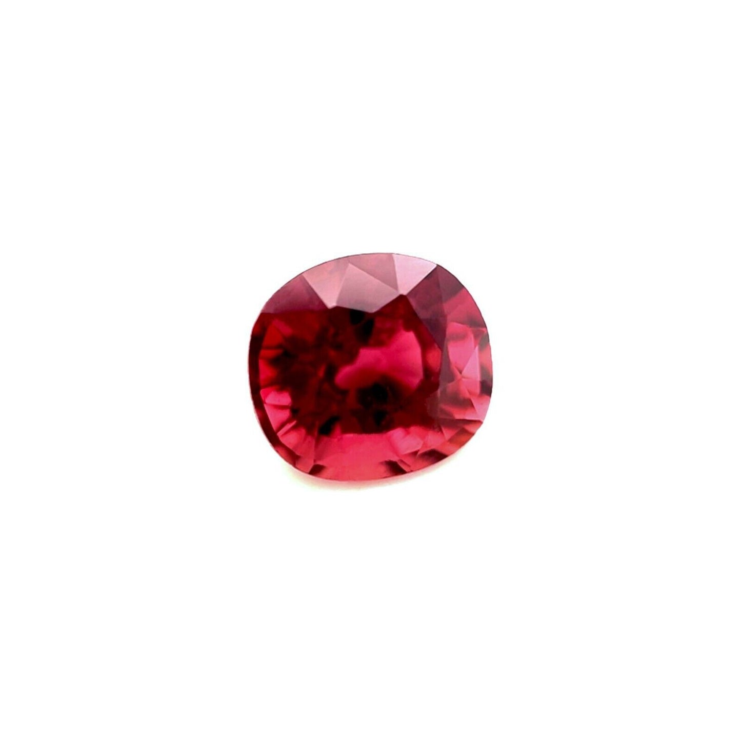 44509454