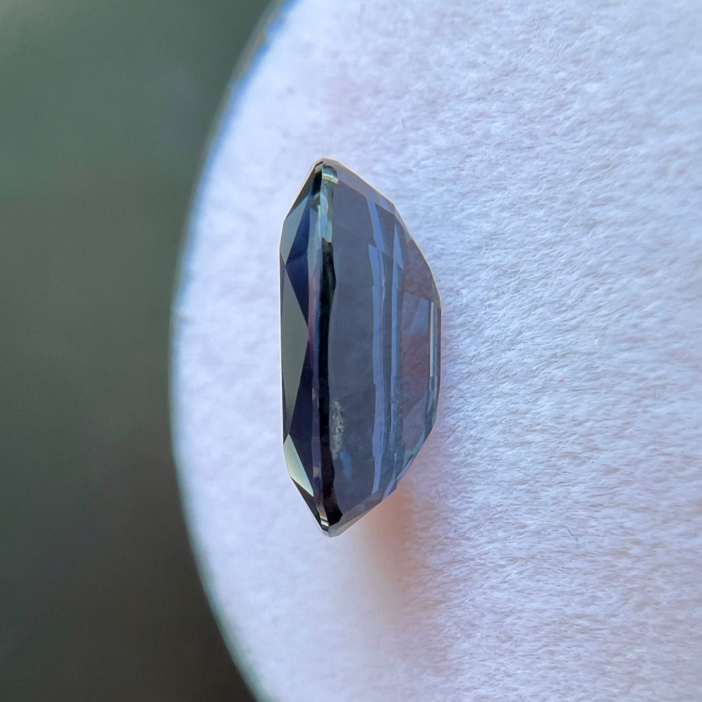 45273019