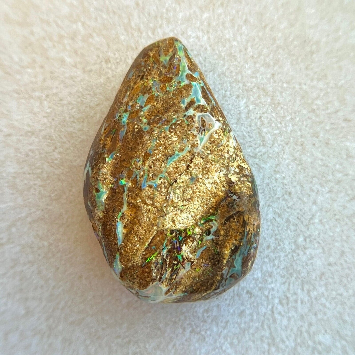 44053725