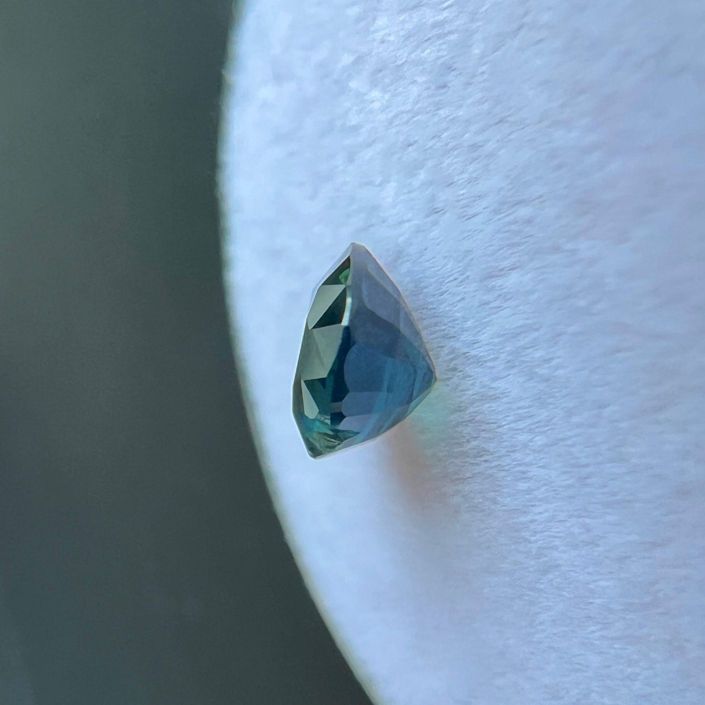 45510558