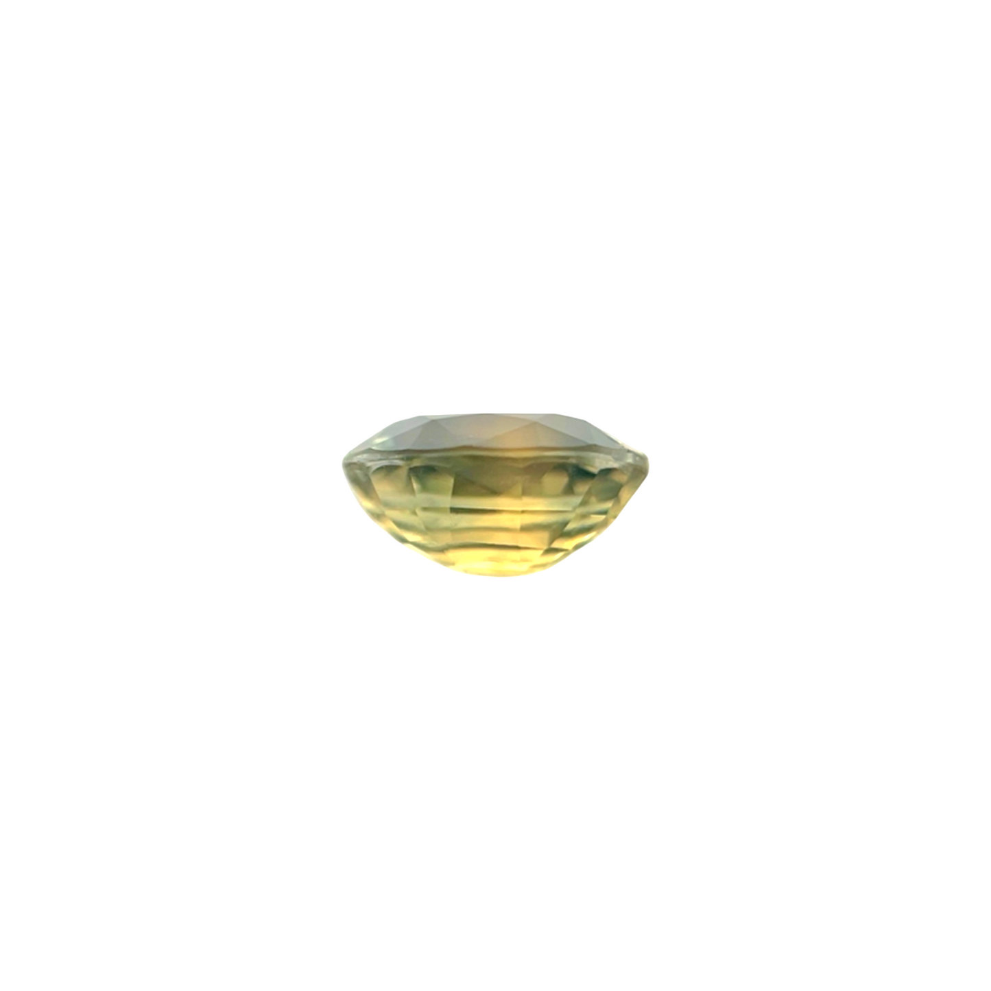 45091954