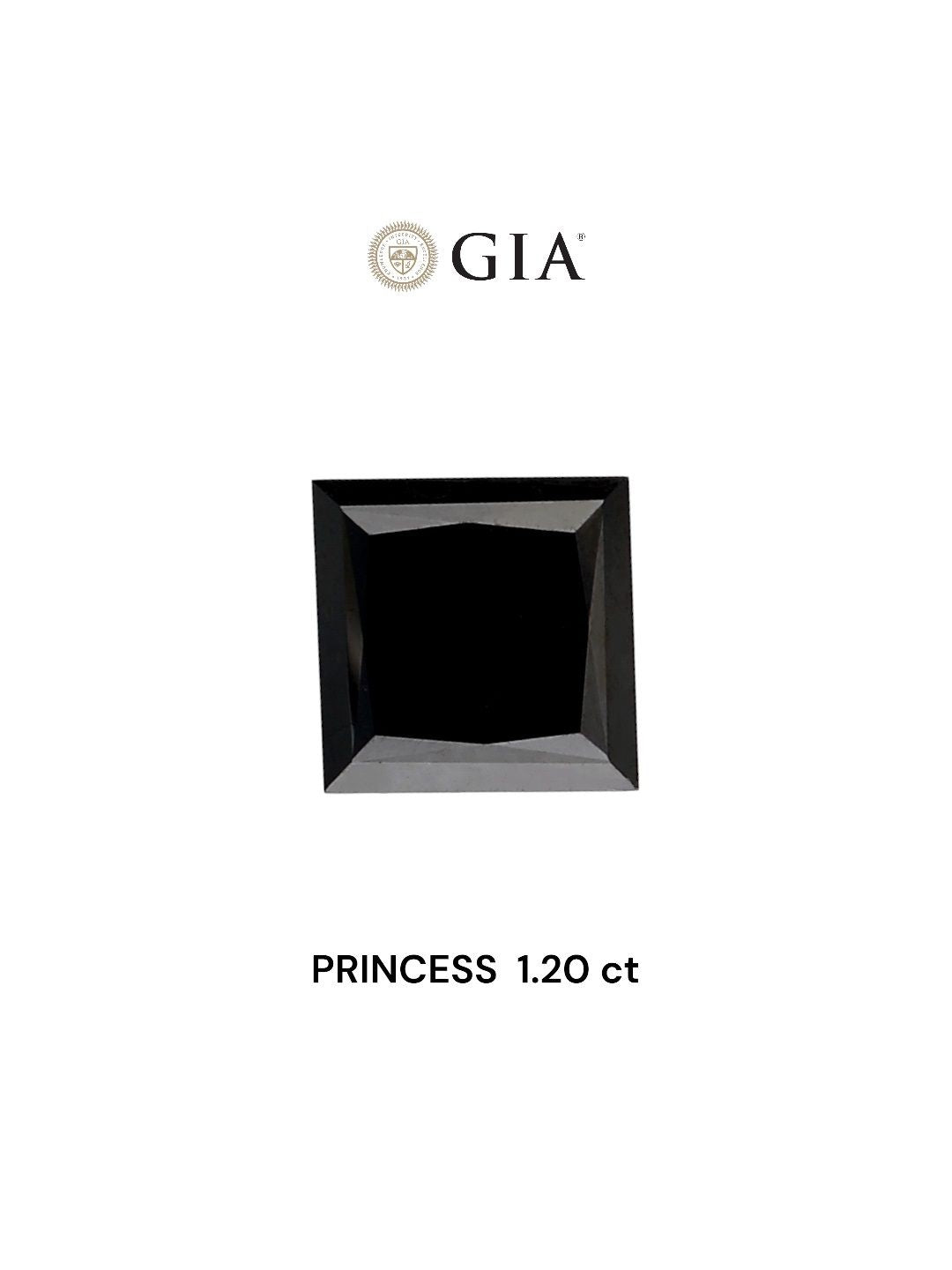 1.20ct Princess Natural Diamond (Colour Fancy Black, Clarity VVS2, Cut EX, GIA Certified)