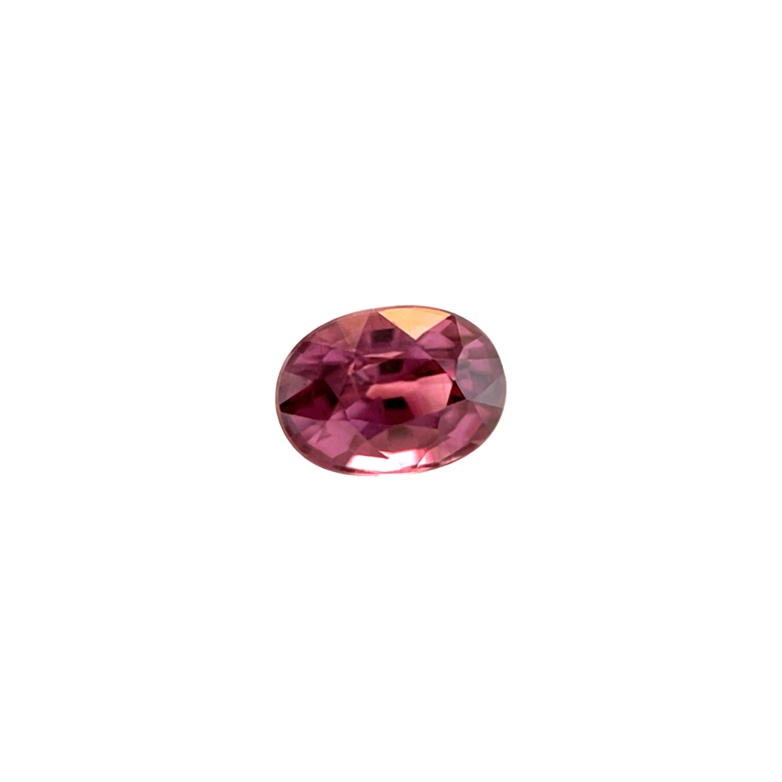 45050541