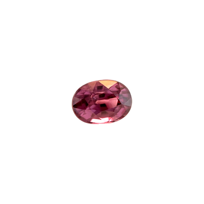45050541