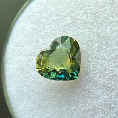 1.52ct GIA CERTIFIED Bi Colour Australian Sapphire Yellow Blue Heart UNTREATED