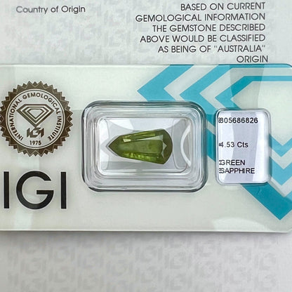 47749654