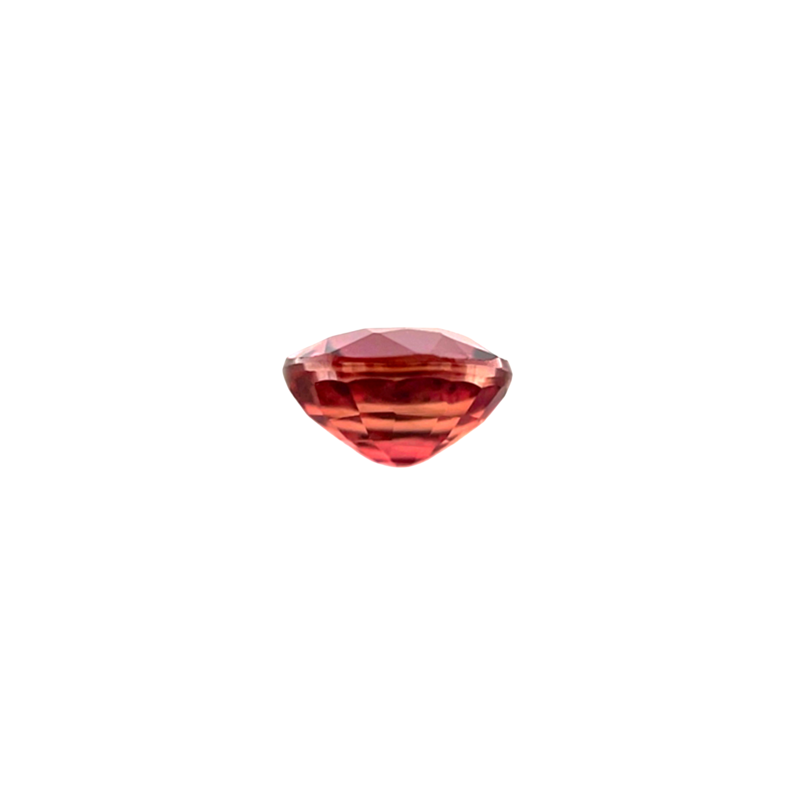 45050544