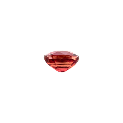45050544
