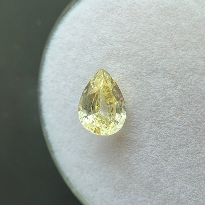 GIA Certified 1.18ct Ceylon Yellow Sapphire UNTREATED Pear Teardrop Cut Gem