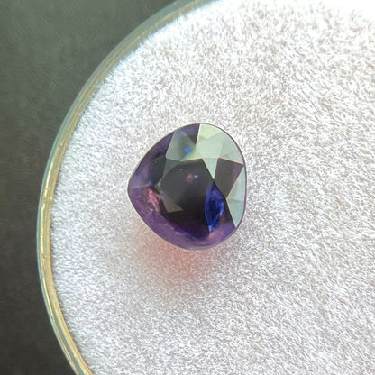 47544497