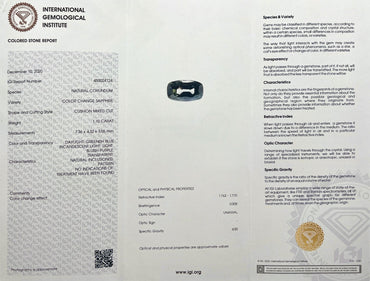 45673206