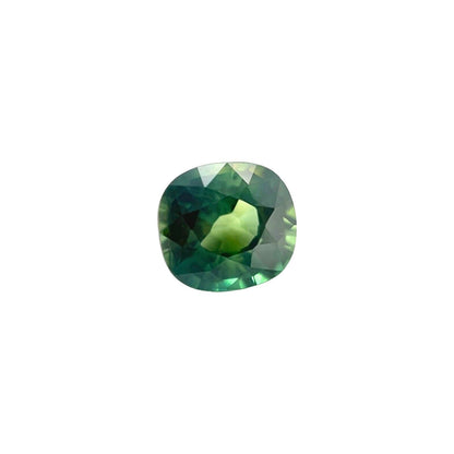 44123527