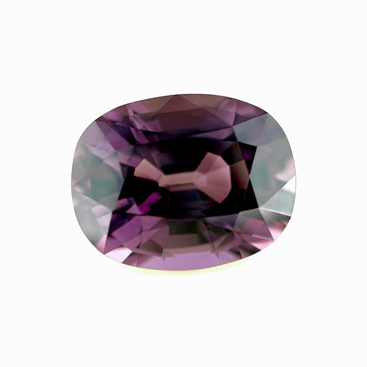 47892661