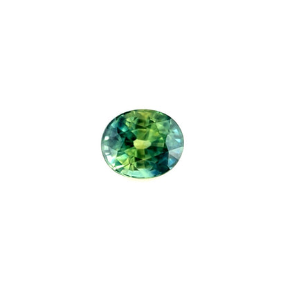 44053828