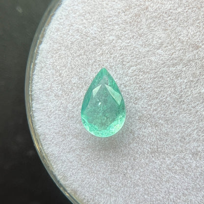 47545219