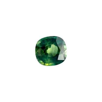 44123527