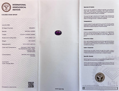 47839804