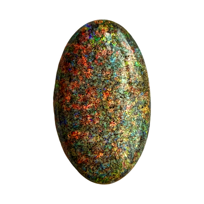 45273005