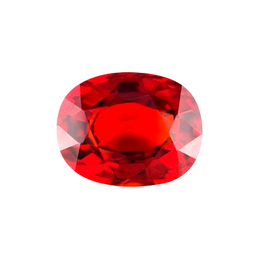 44619499