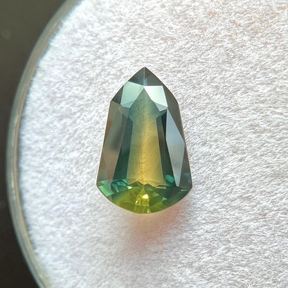 45902876