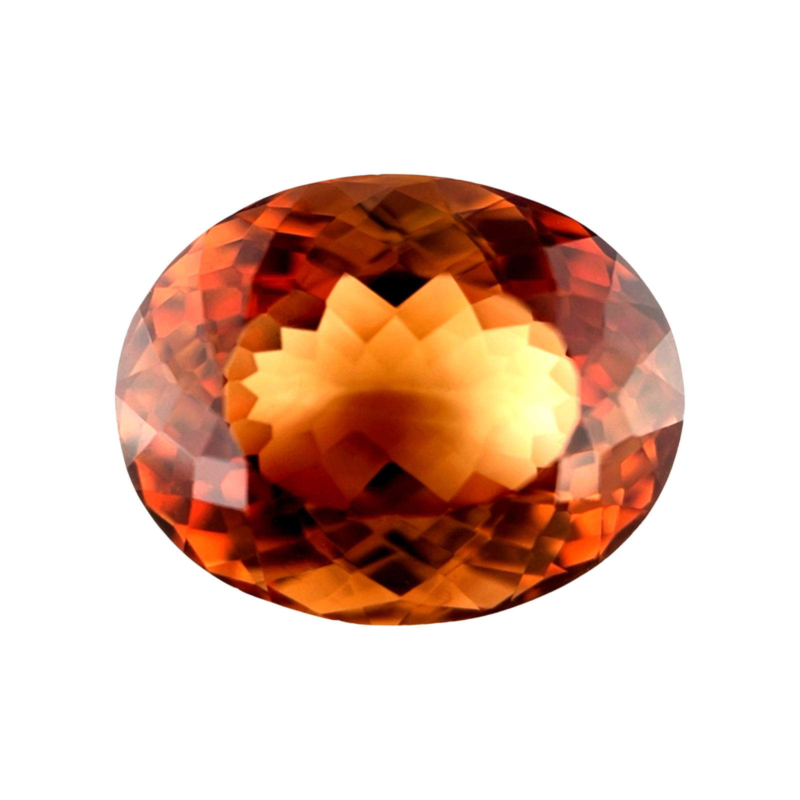 44820558