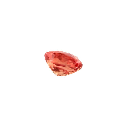 45663557
