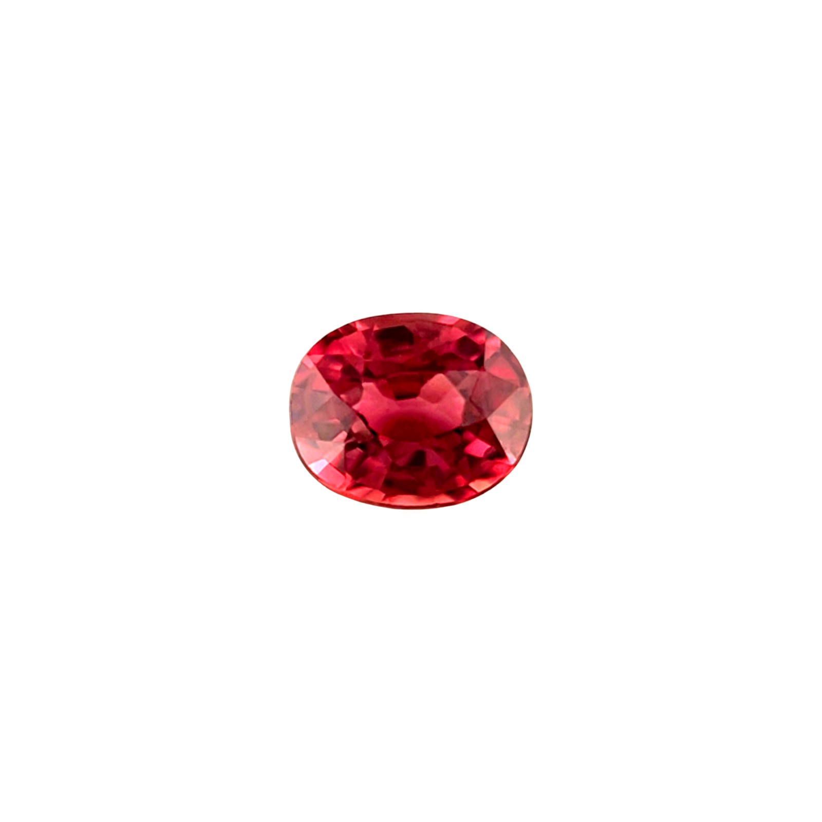 45050544