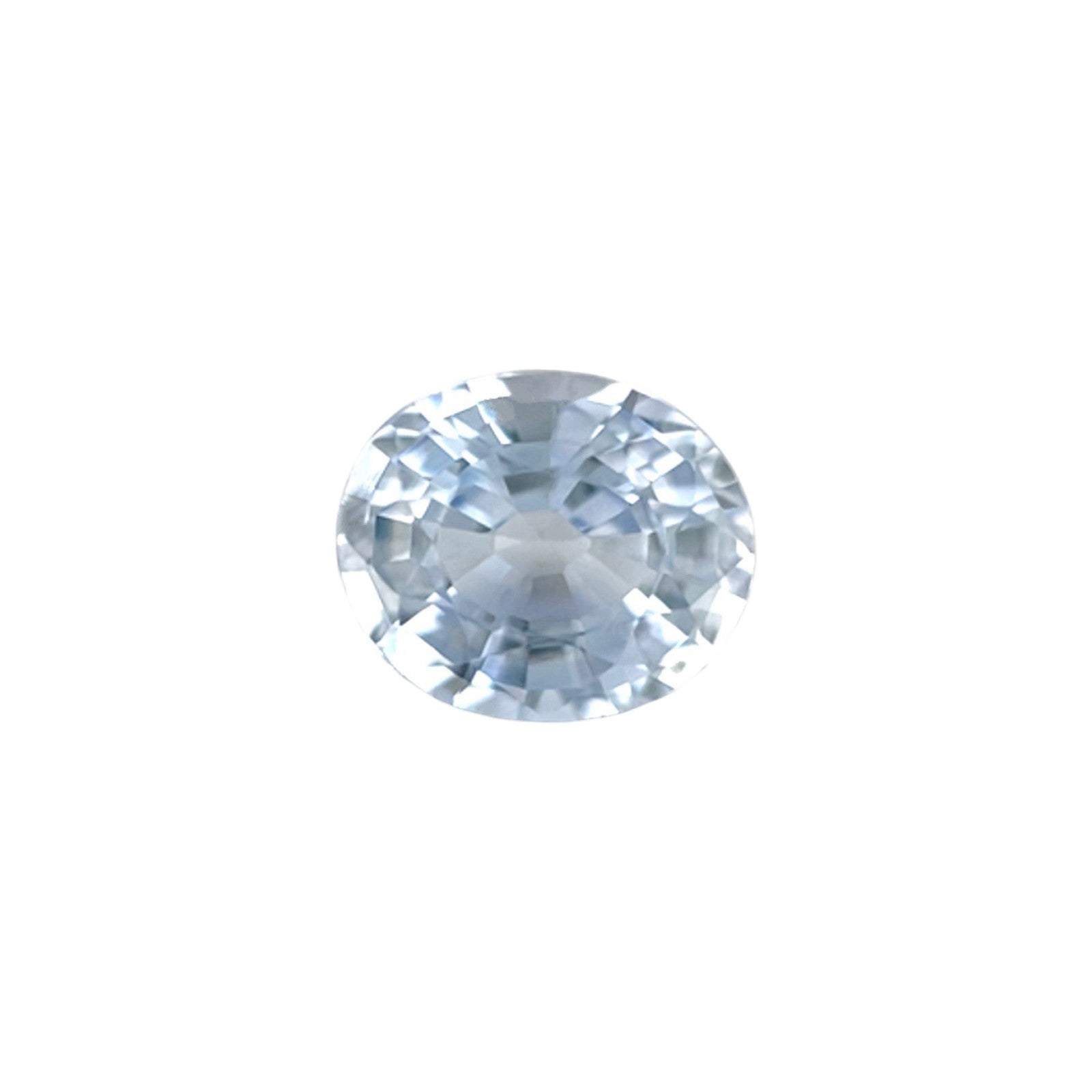 45663558