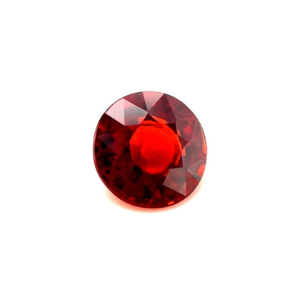 47545046