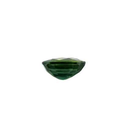 47544006