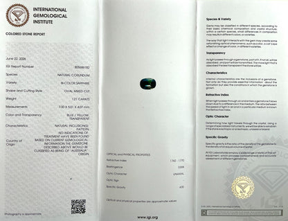 47749638