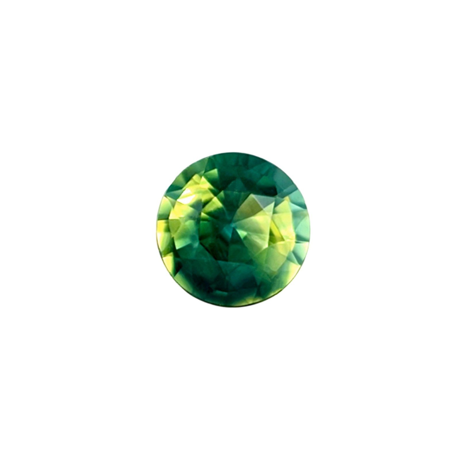 45663503