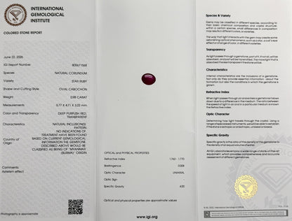 47698945