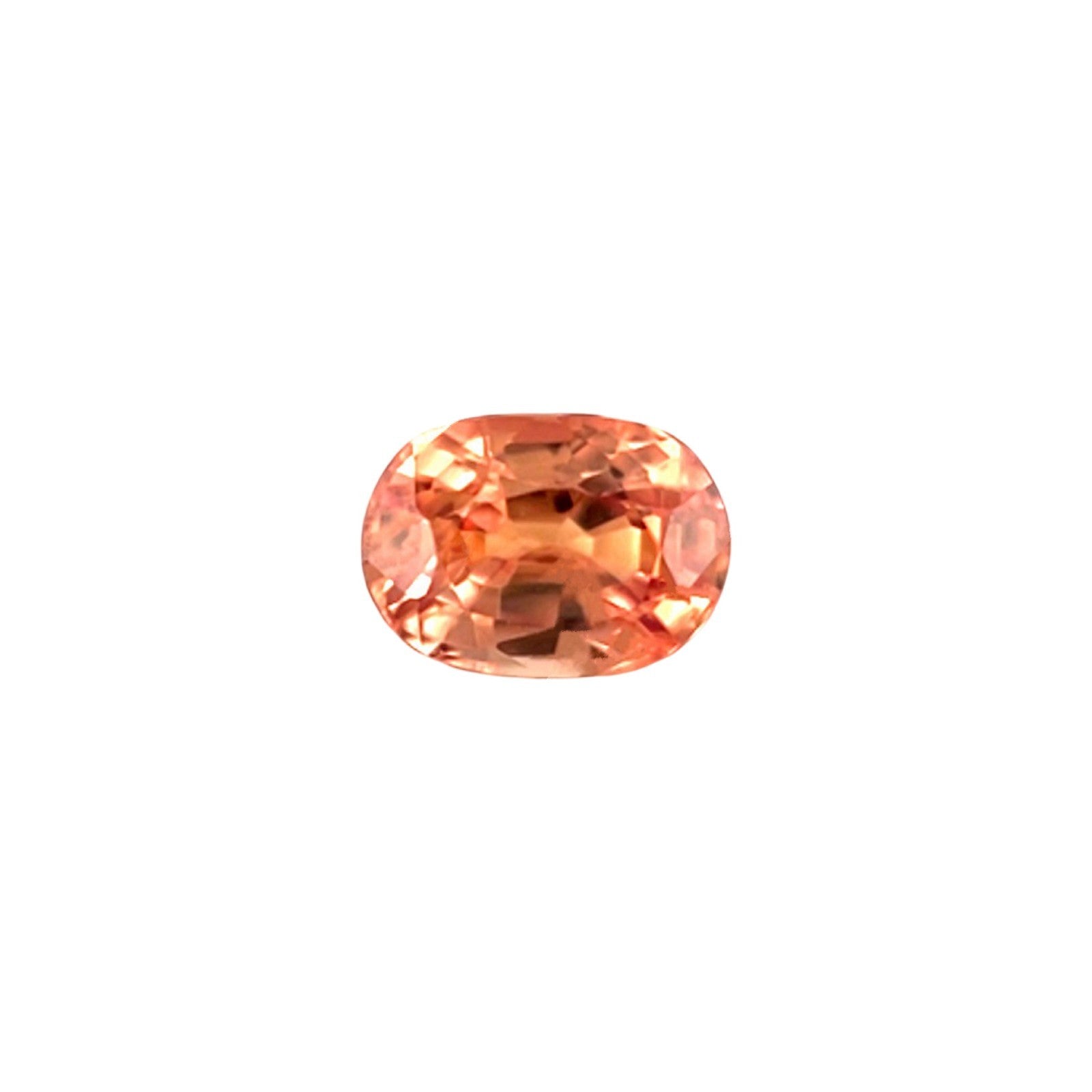 45663557
