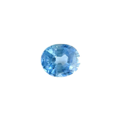 44291172