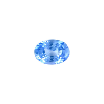 45673205