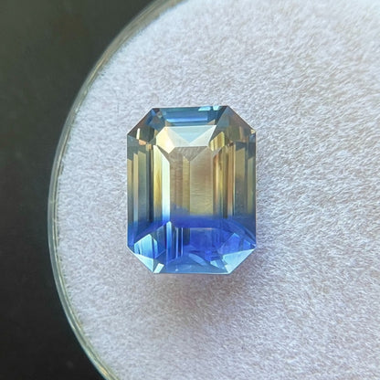 47545241