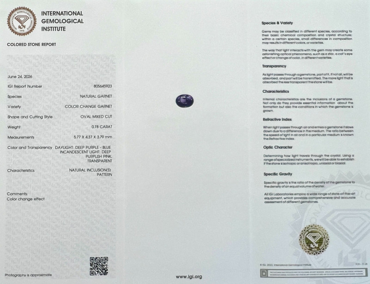 47846806