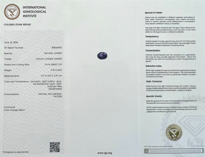 47846806
