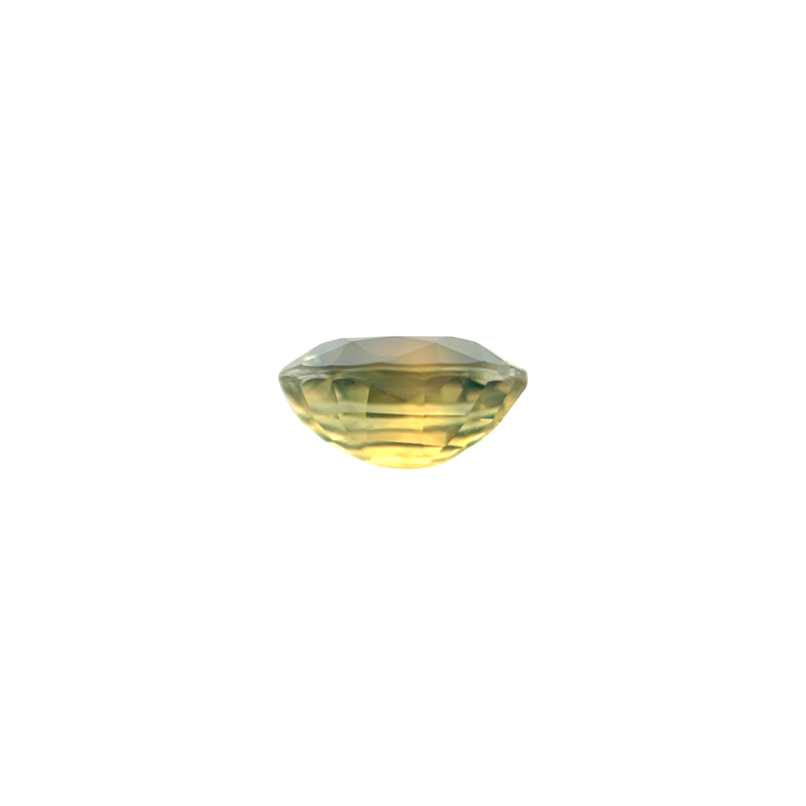 45091954