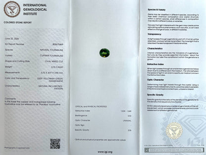 47675202