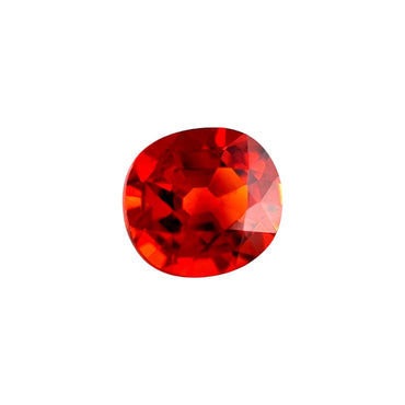 45663561