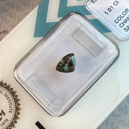 1.01ct Colour Change Sapphire Pink Green Blue No Heat IGI CERTIFIED Triangle Cut