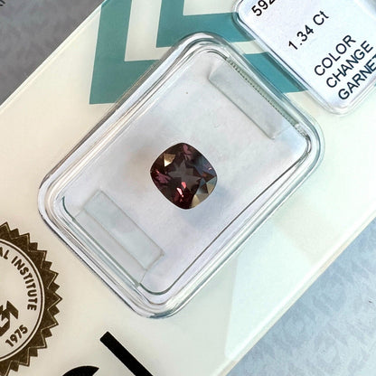 1.34ct Colour Change Garnet NATURAL Cushion Cut RARE IGI CERTIFIED Gemstone